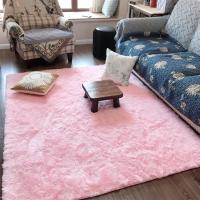 卧室地毯家用客厅地毯榻榻米地毯飘窗垫满铺大地毯床边地毯