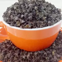 荞麦壳散装荞麦皮甜荞苦荞成人单人枕头芯填充物优质免洗高温