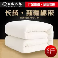 6斤新疆棉花被芯棉絮棉花被子冬被全棉床垫被纯棉被芯