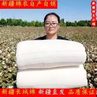 新疆长绒棉被子芯棉被冬被纯棉花棉絮垫被被芯冬单人学生棉胎