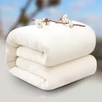 棉花被冬被新疆棉被加厚棉絮垫被床垫秋冬单双人褥子棉花被子芯