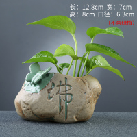 创意绿萝水培小花瓶水养植物容器家居装饰品桌面摆件插花器皿K6|XDY-7602 中等