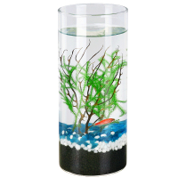 生态瓶微景观造景水族斗鱼缸办公室桌面客厅玻璃鱼缸生态球免打理