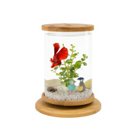 鱼缸创意桌面小型透明玻璃斗鱼缸迷你精致懒人造景家用生态瓶