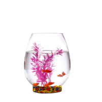 鱼缸玻璃水培植物花瓶花盆高透明恐龙蛋绿萝创意水养鱼缸器皿容