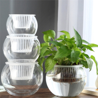 创意水培瓶植物透明玻璃花瓶容器古达绿萝花盆鱼花共养缸水养摆件器皿