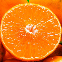 广西武鸣沃柑精品一级新鲜砂糖橘水果大果橘子柑特级柑橘 10斤 严选大果