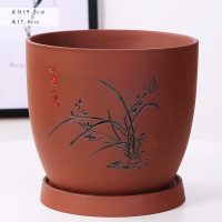 紫砂花盆陶瓷君子兰花盆吊兰财树 文竹 兰花盆精品多肉兰花盆