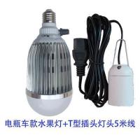 调色水果灯12v24v48v60v72v电瓶车专用交流电220v卖水果|电瓶车水果灯+5米带T插头灯头 红绿蓝三色