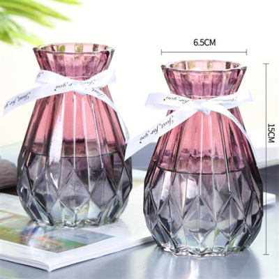 欧式花瓶玻璃花瓶简约透明水培绿萝植物花瓶客厅装饰品干花瓶摆件 15折纸[红灰]2个送丝带