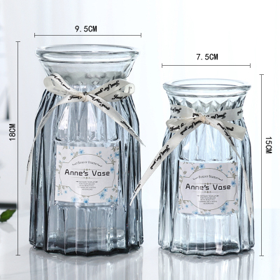 欧式花瓶玻璃花瓶简约透明水培绿萝植物花瓶客厅装饰品干花瓶摆件 18贴标【烟灰色】一个装送丝带