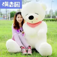 舒弗(LACHOUFFE)公仔熊猫抱抱熊抱枕泰迪熊娃娃玩具熊送女友超萌女玩偶