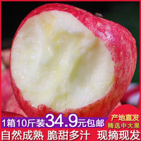 [10斤装]红苹果红富士现摘糖心脆甜新鲜水果 中大果