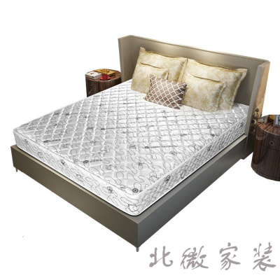 床垫 皖宝床垫正品 棕簧两用一面软一面硬3D棕 超高性价比欧因