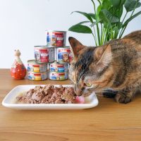 新西兰k9猫罐头孕成幼猫增肥鸡羊肉无谷主食罐头湿粮170/85g