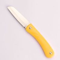 不锈钢水果刀家用瓜果削皮器随身折叠便携能迷你水果F1|黄色