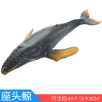 海洋生物玩具模型 仿真动物鲨鱼玩具 儿童软胶仿真蓝鲸虎鲸大白鲨 座头鲸