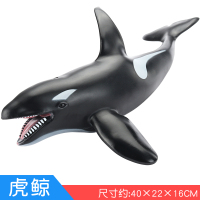 海洋生物玩具模型 仿真动物鲨鱼玩具 儿童软胶仿真蓝鲸虎鲸大白鲨 虎鲸