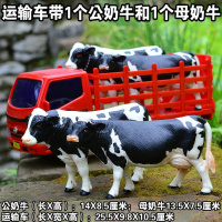 大型动物运输车/奶牛/儿童玩具汽车模型/卡车/货车/仿真动物/农场 运输车带公母奶牛