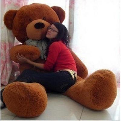 毛绒玩具1米8大抱熊泰迪熊布娃娃抱抱熊1.8米大号2米1.6米公仔1.2 深棕色开眼 2米送玫瑰花