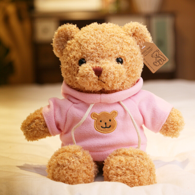泰迪熊毛绒玩具小熊公仔抱抱熊布娃娃毛衣泰迪熊公仔生日女生 粉色卫衣海藻绒款 全长38厘米