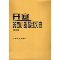 开塞36首小提琴练习曲(作品第20号) 36首作品20号 开赛教材 小提琴书籍教程小提琴教程 音乐书籍 