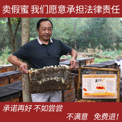 丽屏蜂宝 野生荆条蜂巢蜜 500g 天然滋补蜂蜜 无添加 可以嚼着吃的蜂巢蜜
