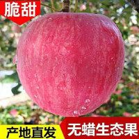 [助农600000斤]苹果红富士苹果新鲜水果当季陕西洛川纸袋红富士冰糖心丑苹果大苹果48小时内发货