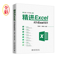 精进Excel 成为Excel高手 excle教程书 会计excel 电脑基础知识 办公应用 office书 wps教