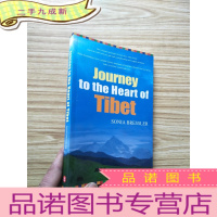 正 九成新深入西藏之旅(英文版)