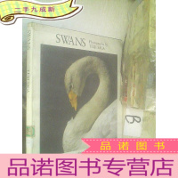 正 九成新swans photographs by teiji saga /天鹅照片