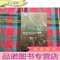 正 九成新光盘,隐形小世界 未开封 DVD