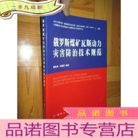 正 九成新俄罗斯煤矿瓦斯动力灾害防治技术规范 (16开)