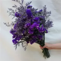 紫色+情人草 50CM10支 干花勿忘我干花干花花束装饰摆件永生花复古干花自然花假花型真花