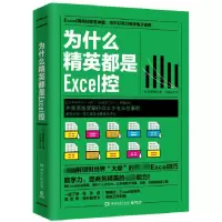 音像为什么精英都是Excel控(日)熊野整|译者:刘格安