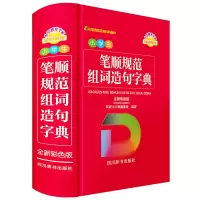 音像小学生笔顺规范组词造句字典(全新彩色版)中国