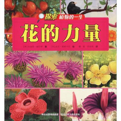 音像花的力量/探索植物的一生朱迪思·赫尼根