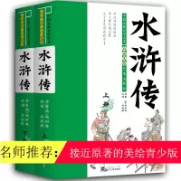 音像水浒传(白话美绘全本注释版上下)/中国古典文学名著施耐庵