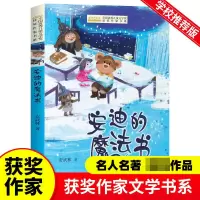 音像全国儿童文学奖获奖作家书系--安迪的魔法书安武林