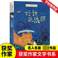 音像全国儿童文学奖获奖作家书系--好汉流浪猫谷应