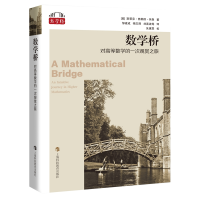 音像数学桥:对高等数学的一次观赏之旅(美)斯蒂芬·弗莱彻·休森