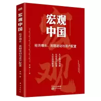 音像宏观中国(经济增长周期波动与资产配置)张明
