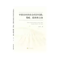 音像中国农村的社会经济实践:策略、障碍和主体何宇飞 著