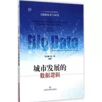 音像城市发展的数据逻辑,杨丽 编著