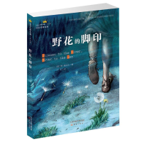 音像野花的脚印(美)斯·奥台尔(Scott O Dell) 著;丁冬 译