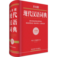 音像多功能现代汉语词典汉语大字典编纂处 编