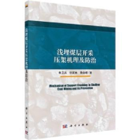 音像浅埋煤层开采压架机理及防治朱卫兵//许家林//鞠金峰