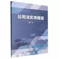 音像公司法实务精要任春玲