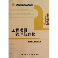 音像工程项目管理信息化(项目管理工程硕士规划教材)骆汉宾