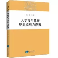 音像大学青年教师职业适应力撷要王飞